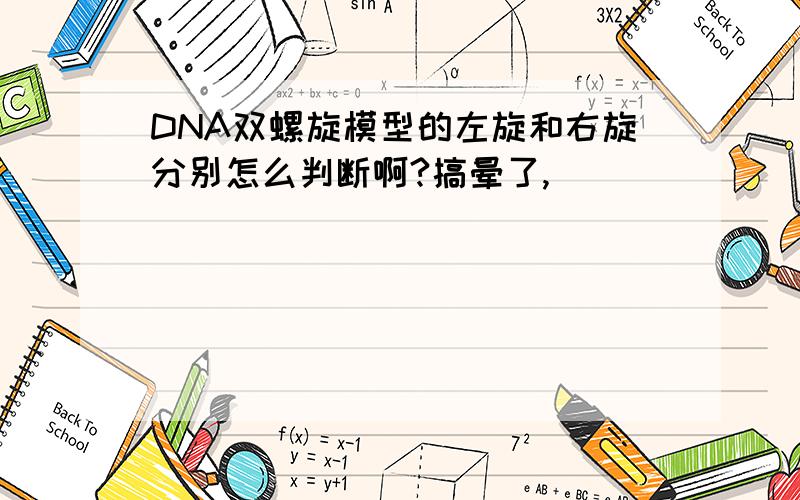 DNA双螺旋模型的左旋和右旋分别怎么判断啊?搞晕了,