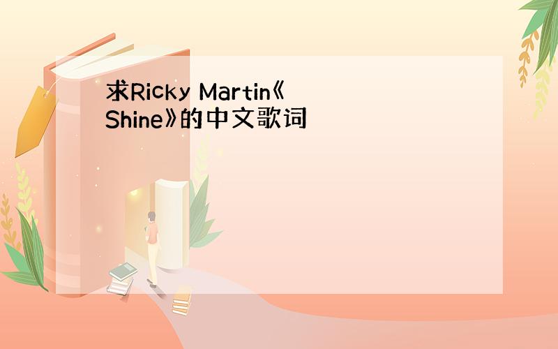 求Ricky Martin《Shine》的中文歌词