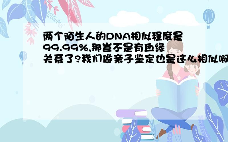 两个陌生人的DNA相似程度是99.99%,那岂不是有血缘关系了?我们做亲子鉴定也是这么相似啊?怎么区分?