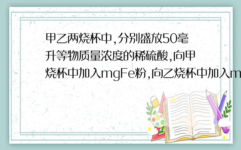 甲乙两烧杯中,分别盛放50毫升等物质量浓度的稀硫酸,向甲烧杯中加入mgFe粉,向乙烧杯中加入mgZn粉,