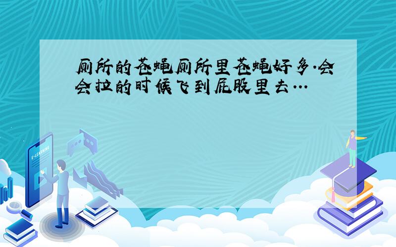 厕所的苍蝇厕所里苍蝇好多.会会拉的时候飞到屁股里去...