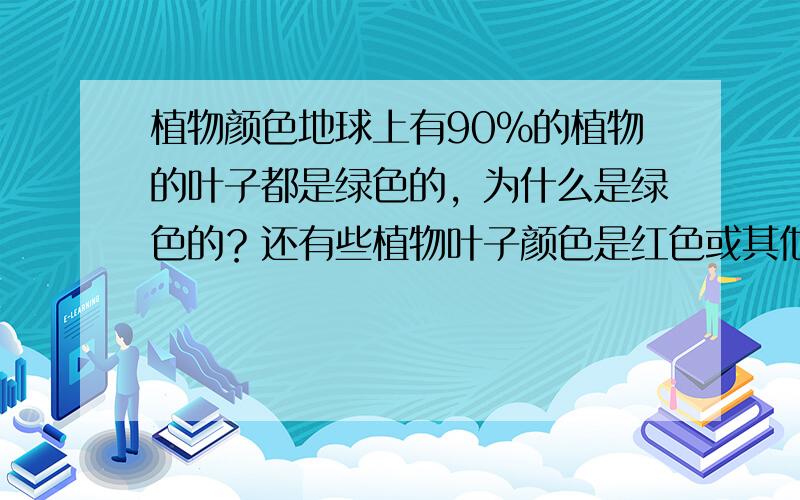 植物颜色地球上有90%的植物的叶子都是绿色的，为什么是绿色的？还有些植物叶子颜色是红色或其他颜色，是什么道理？叶绿素是什