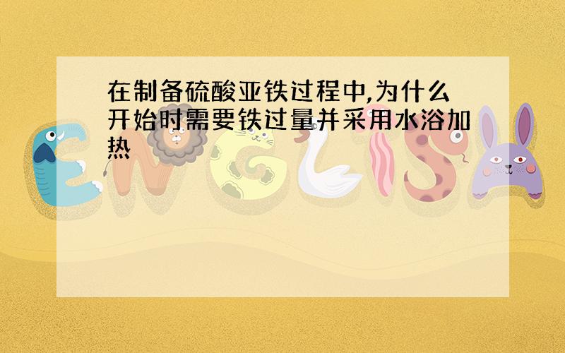 在制备硫酸亚铁过程中,为什么开始时需要铁过量并采用水浴加热