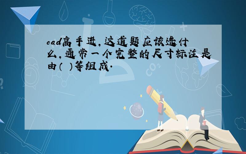 cad高手进,这道题应该选什么,通常一个完整的尺寸标注是由（ ）等组成.