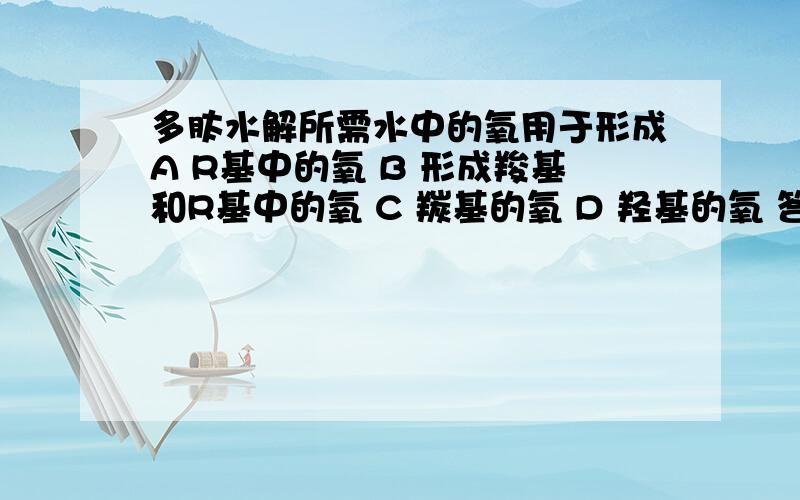 多肽水解所需水中的氧用于形成A R基中的氧 B 形成羧基和R基中的氧 C 羰基的氧 D 羟基的氧 答案选D为什么不是B