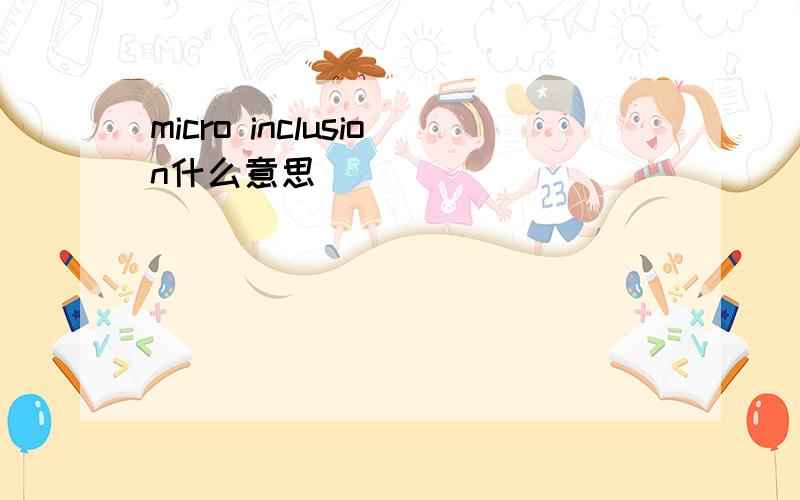 micro inclusion什么意思