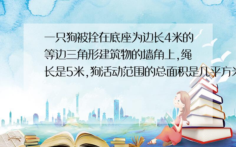 一只狗被拴在底座为边长4米的等边三角形建筑物的墙角上,绳长是5米,狗活动范围的总面积是几平方米?