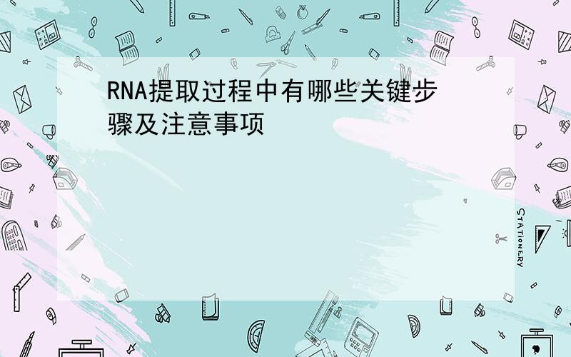 RNA提取过程中有哪些关键步骤及注意事项