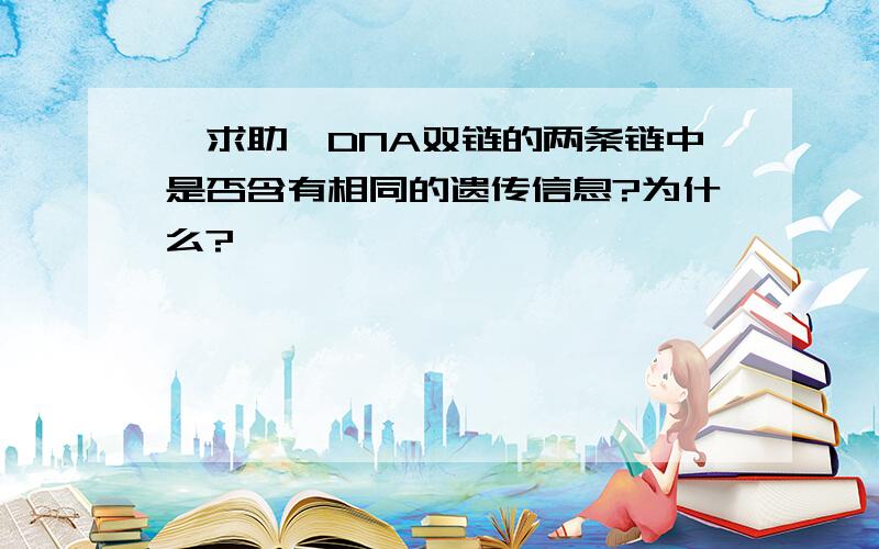 【求助】DNA双链的两条链中是否含有相同的遗传信息?为什么?