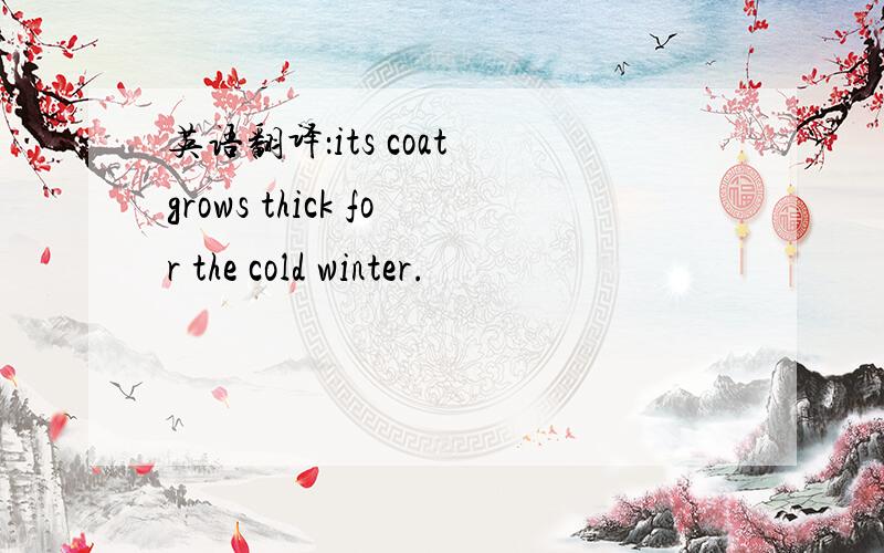 英语翻译：its coat grows thick for the cold winter.