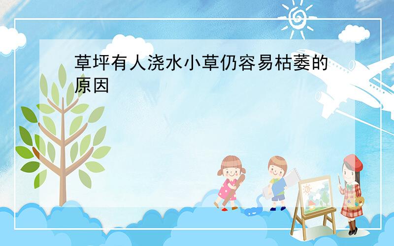 草坪有人浇水小草仍容易枯萎的原因