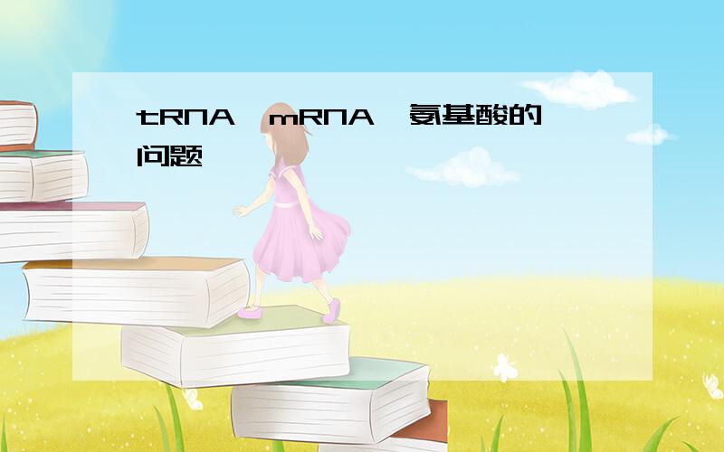 tRNA,mRNA,氨基酸的问题