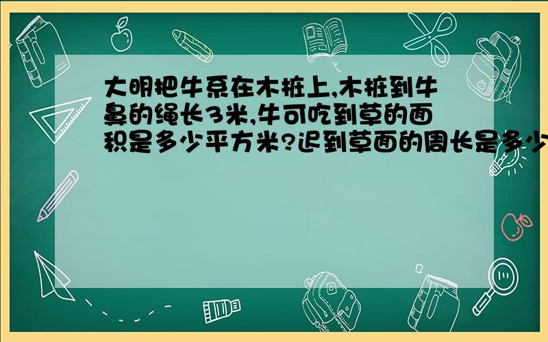 大明把牛系在木桩上,木桩到牛鼻的绳长3米,牛可吃到草的面积是多少平方米?迟到草面的周长是多少米?