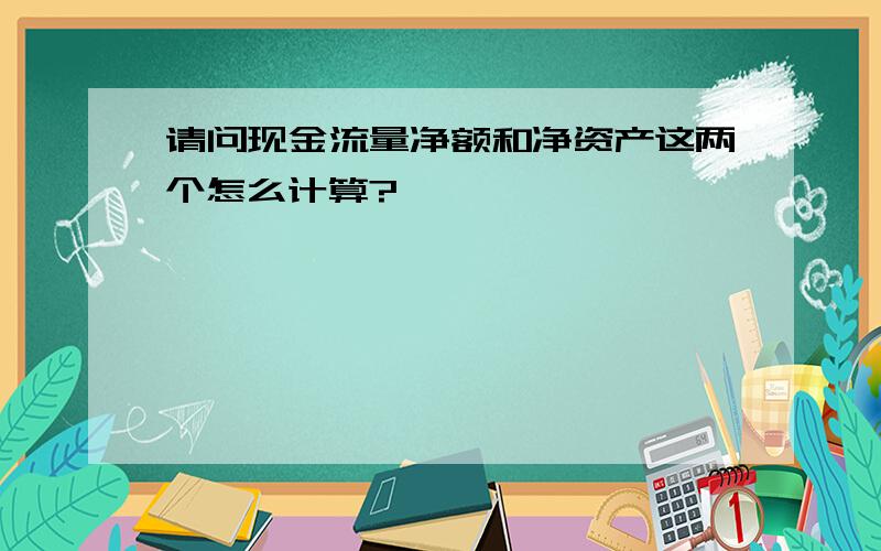 请问现金流量净额和净资产这两个怎么计算?