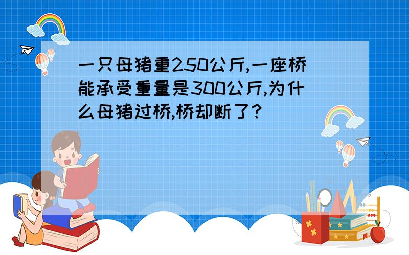 一只母猪重250公斤,一座桥能承受重量是300公斤,为什么母猪过桥,桥却断了?