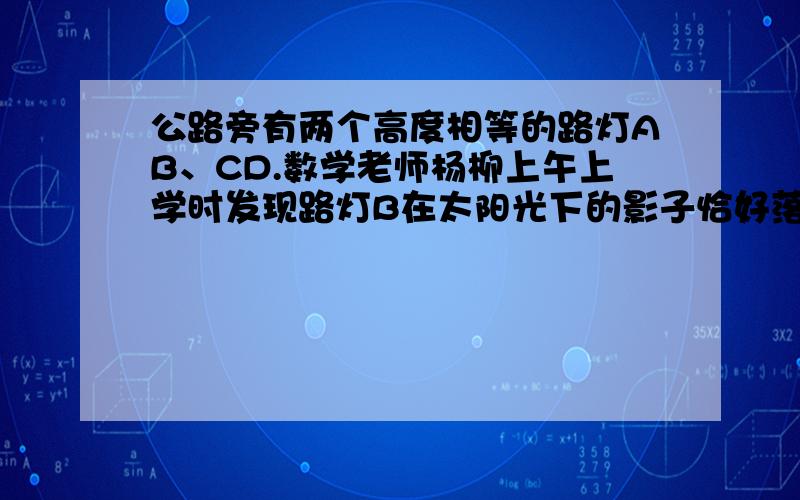 公路旁有两个高度相等的路灯AB、CD.数学老师杨柳上午上学时发现路灯B在太阳光下的影子恰好落到里程碑E处,他自己的影子恰