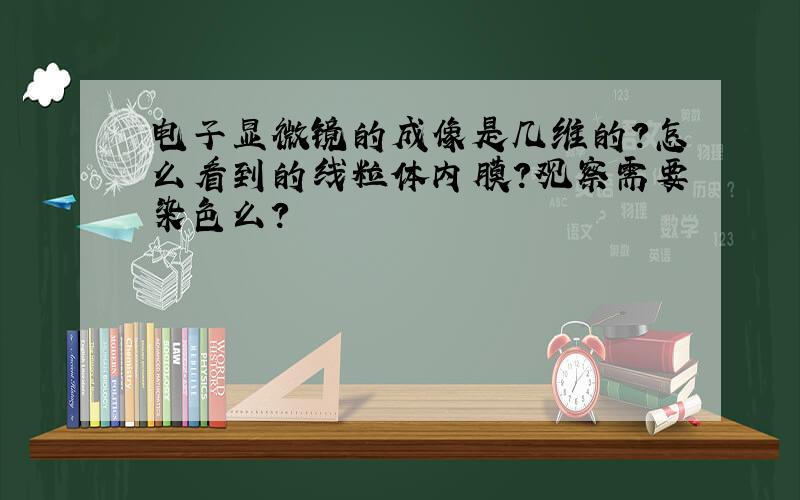 电子显微镜的成像是几维的?怎么看到的线粒体内膜?观察需要染色么?