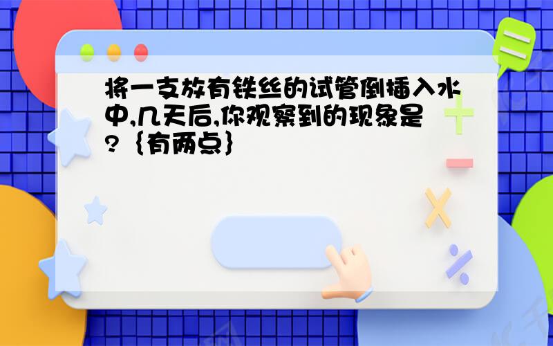 将一支放有铁丝的试管倒插入水中,几天后,你观察到的现象是?｛有两点｝