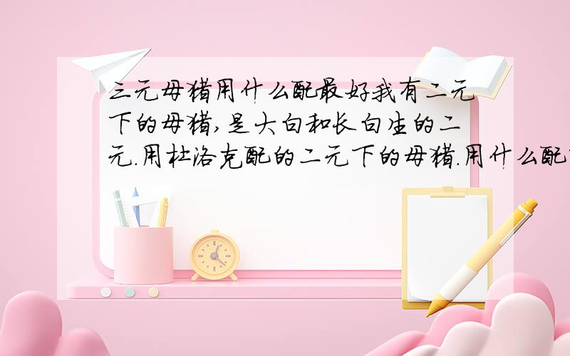 三元母猪用什么配最好我有二元下的母猪,是大白和长白生的二元.用杜洛克配的二元下的母猪.用什么配呀.