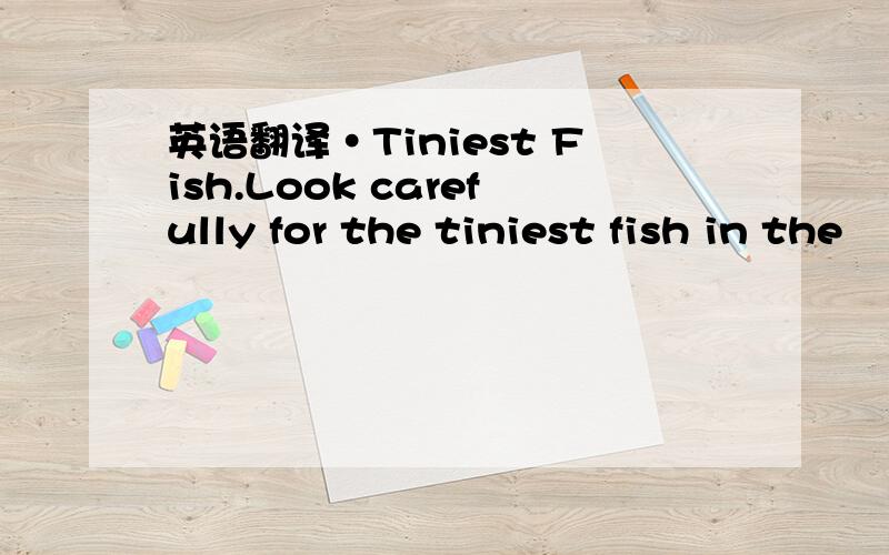 英语翻译·Tiniest Fish.Look carefully for the tiniest fish in the