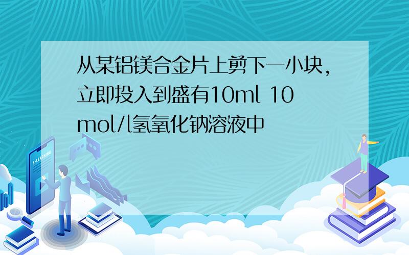 从某铝镁合金片上剪下一小块,立即投入到盛有10ml 10mol/l氢氧化钠溶液中