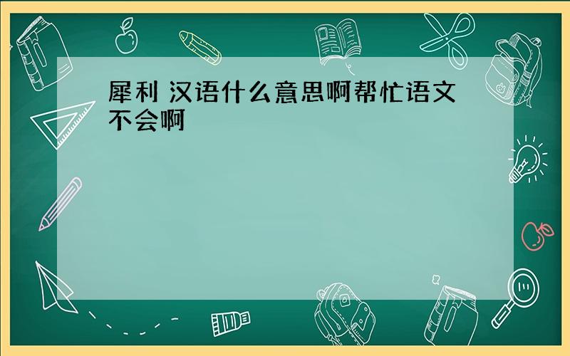 犀利 汉语什么意思啊帮忙语文不会啊