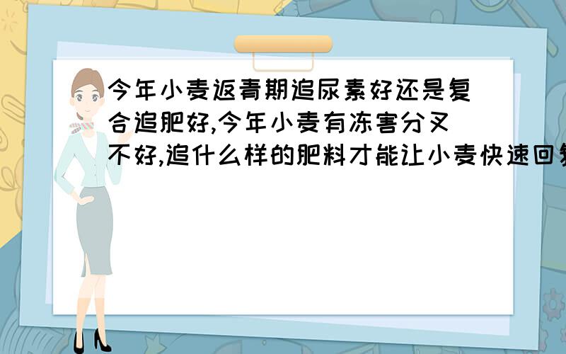 今年小麦返青期追尿素好还是复合追肥好,今年小麦有冻害分叉不好,追什么样的肥料才能让小麦快速回复