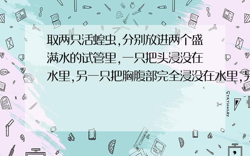 取两只活蝗虫,分别放进两个盛满水的试管里,一只把头浸没在水里,另一只把胸腹部完全浸没在水里,另一只把胸腹部完全浸没在水里