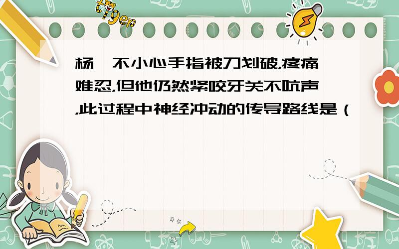 杨朔不小心手指被刀划破，疼痛难忍，但他仍然紧咬牙关不吭声，此过程中神经冲动的传导路线是（　　）