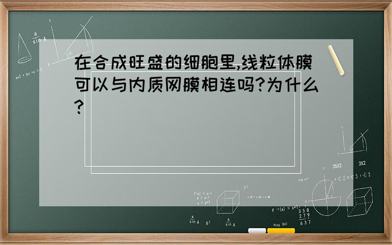 在合成旺盛的细胞里,线粒体膜可以与内质网膜相连吗?为什么?