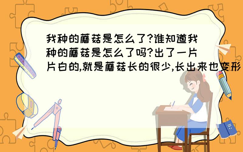 我种的蘑菇是怎么了?谁知道我种的蘑菇是怎么了吗?出了一片片白的,就是蘑菇长的很少,长出来也变形了?