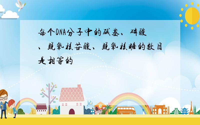 每个DNA分子中的碱基、磷酸、脱氧核苷酸、脱氧核糖的数目是相等的