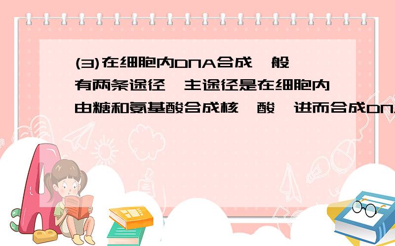 (3)在细胞内DNA合成一般有两条途径,主途径是在细胞内由糖和氨基酸合成核苷酸,进而合成DNA,而氨基喋呤可以阻断此途径