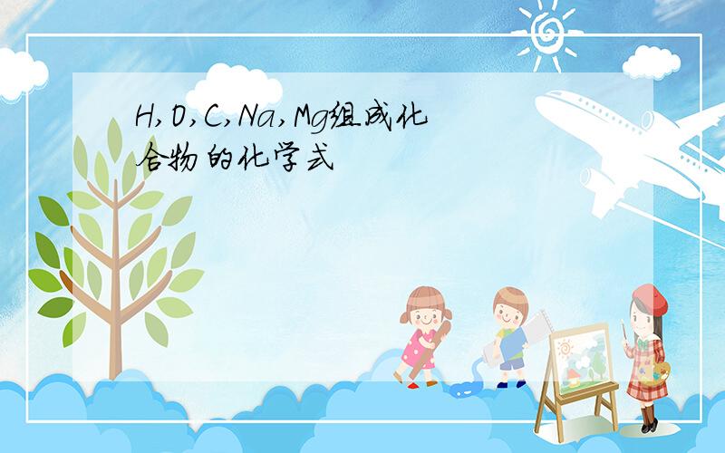 H,O,C,Na,Mg组成化合物的化学式