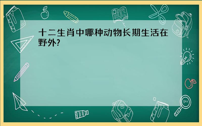 十二生肖中哪种动物长期生活在野外?