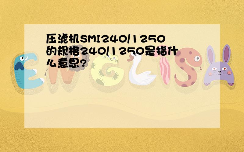 压滤机SMI240/1250的规格240/1250是指什么意思?