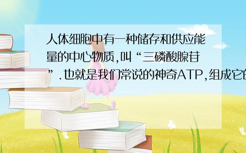 人体细胞中有一种储存和供应能量的中心物质,叫“三磷酸腺苷”.也就是我们常说的神奇ATP,组成它的主要原料（ ）、（ ）和