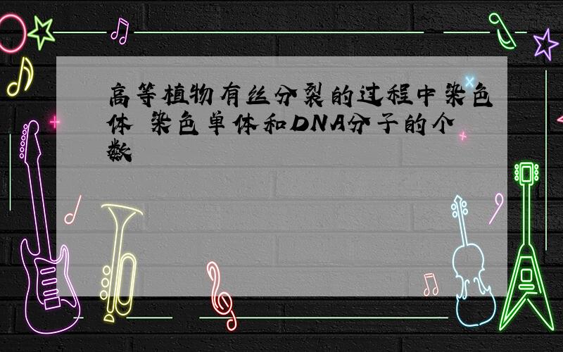 高等植物有丝分裂的过程中染色体 染色单体和DNA分子的个数