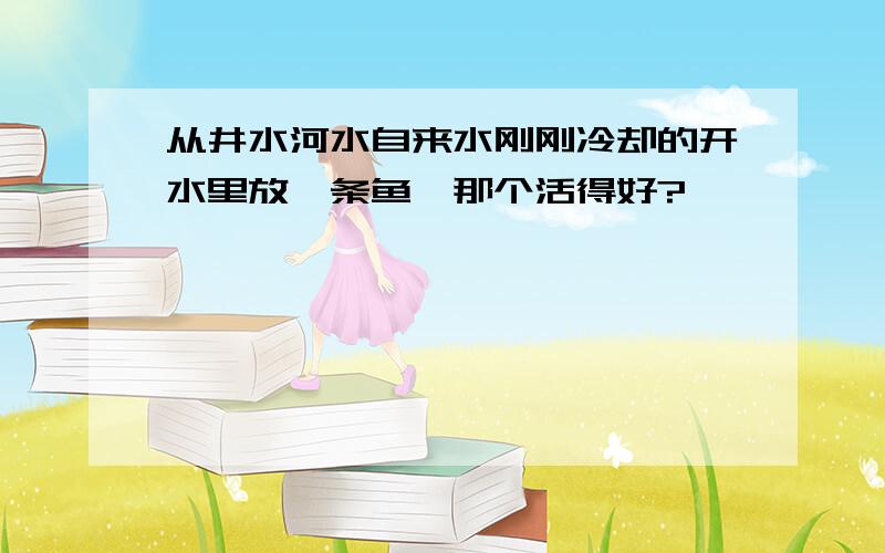 从井水河水自来水刚刚冷却的开水里放一条鱼,那个活得好?