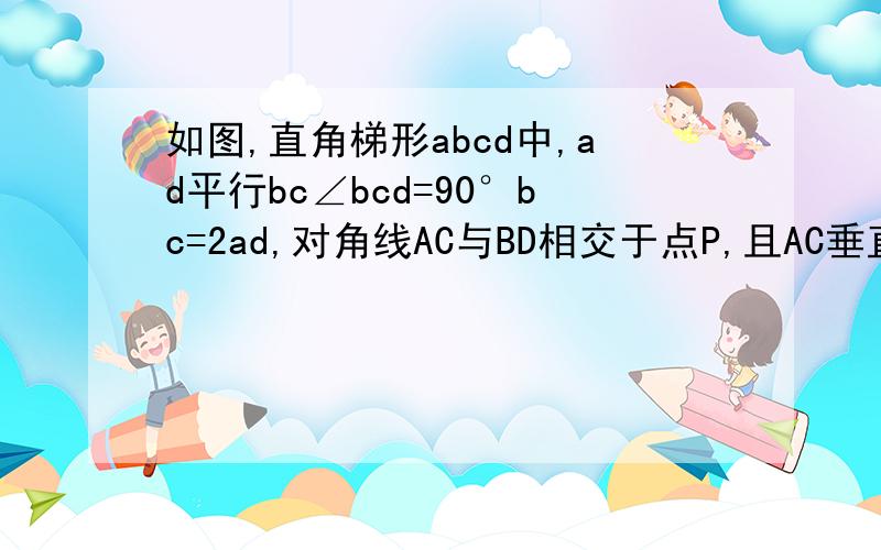 如图,直角梯形abcd中,ad平行bc∠bcd=90°bc=2ad,对角线AC与BD相交于点P,且AC垂直BD,过点P做