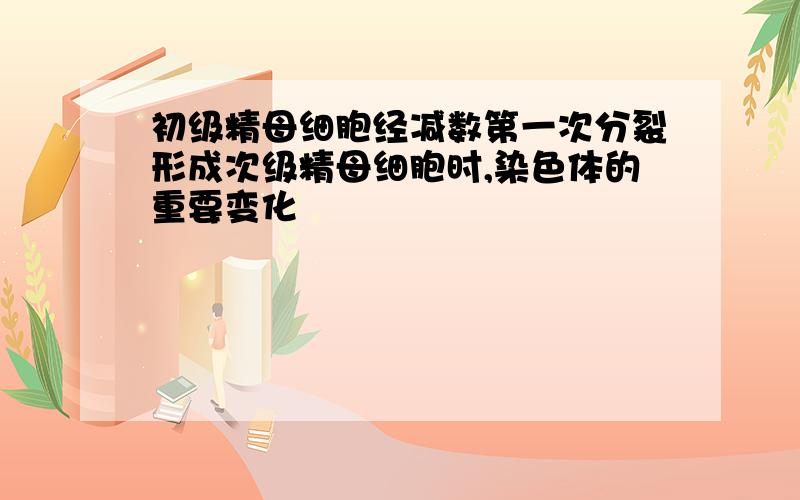 初级精母细胞经减数第一次分裂形成次级精母细胞时,染色体的重要变化