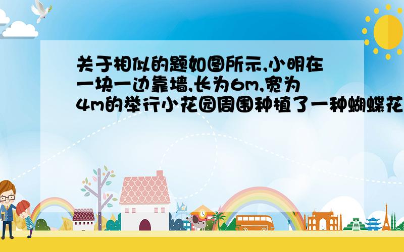 关于相似的题如图所示,小明在一块一边靠墙,长为6m,宽为4m的举行小花园周围种植了一种蝴蝶花作为装饰,这种蝴蝶花的边框宽