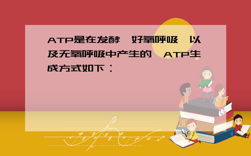 ATP是在发酵、好氧呼吸、以及无氧呼吸中产生的,ATP生成方式如下：