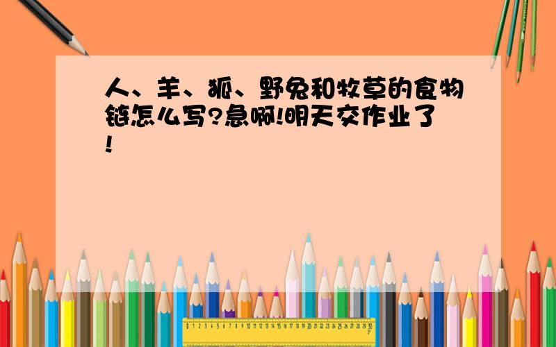 人、羊、狐、野兔和牧草的食物链怎么写?急啊!明天交作业了!