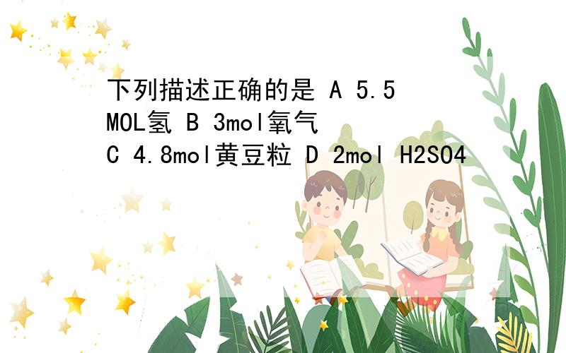 下列描述正确的是 A 5.5MOL氢 B 3mol氧气 C 4.8mol黄豆粒 D 2mol H2SO4