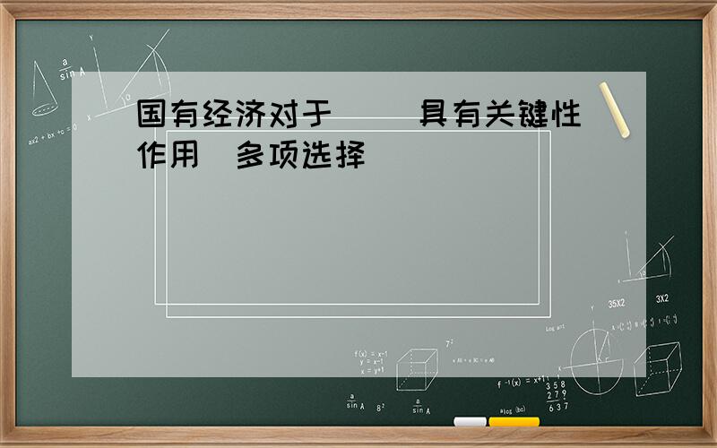 国有经济对于（ ）具有关键性作用　多项选择