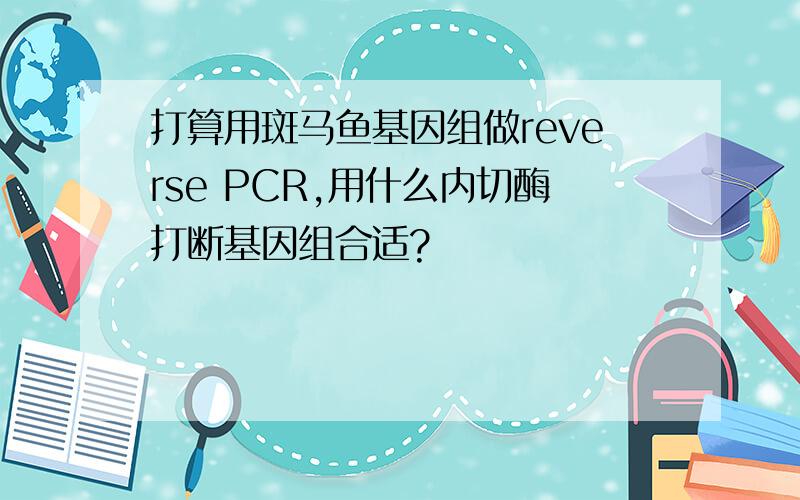 打算用斑马鱼基因组做reverse PCR,用什么内切酶打断基因组合适?