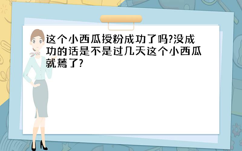 这个小西瓜授粉成功了吗?没成功的话是不是过几天这个小西瓜就蔫了?