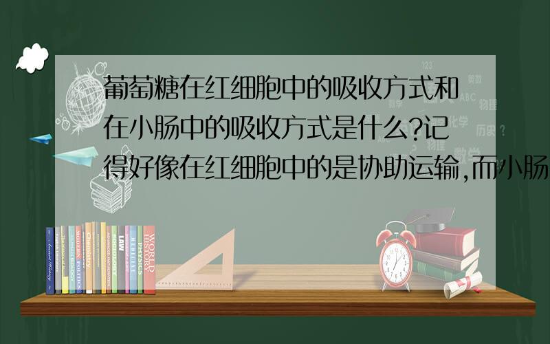 葡萄糖在红细胞中的吸收方式和在小肠中的吸收方式是什么?记得好像在红细胞中的是协助运输,而小肠中的是主动运输,不太清楚~