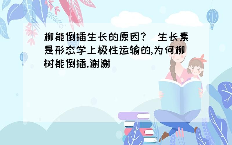 柳能倒插生长的原因?（生长素是形态学上极性运输的,为何柳树能倒插.谢谢）